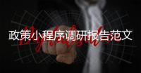 政策小程序调研报告范文_(政策小程序调研报告范文怎么写) 