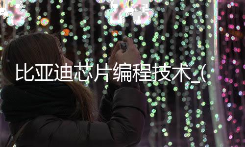 比亚迪芯片编程技术_(比亚迪芯片设计岗位怎么样)