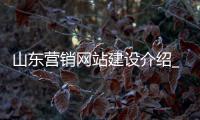 山东营销网站建设介绍_(山东营销网站建设介绍ppt) 